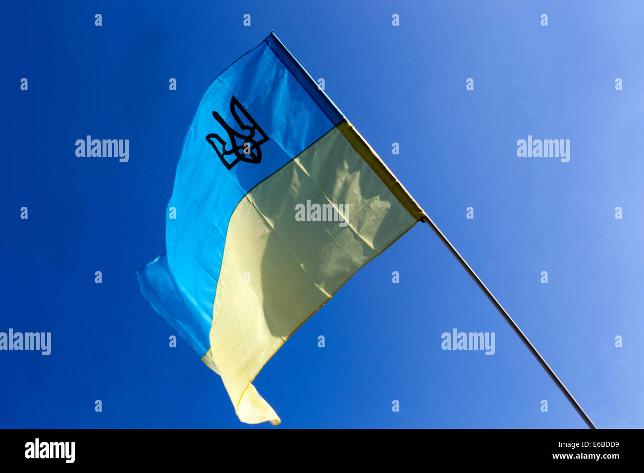 Bandiera Ucraina che soffia nel vento con un tridente bandiera Ucraina che sventola Foto Stock
