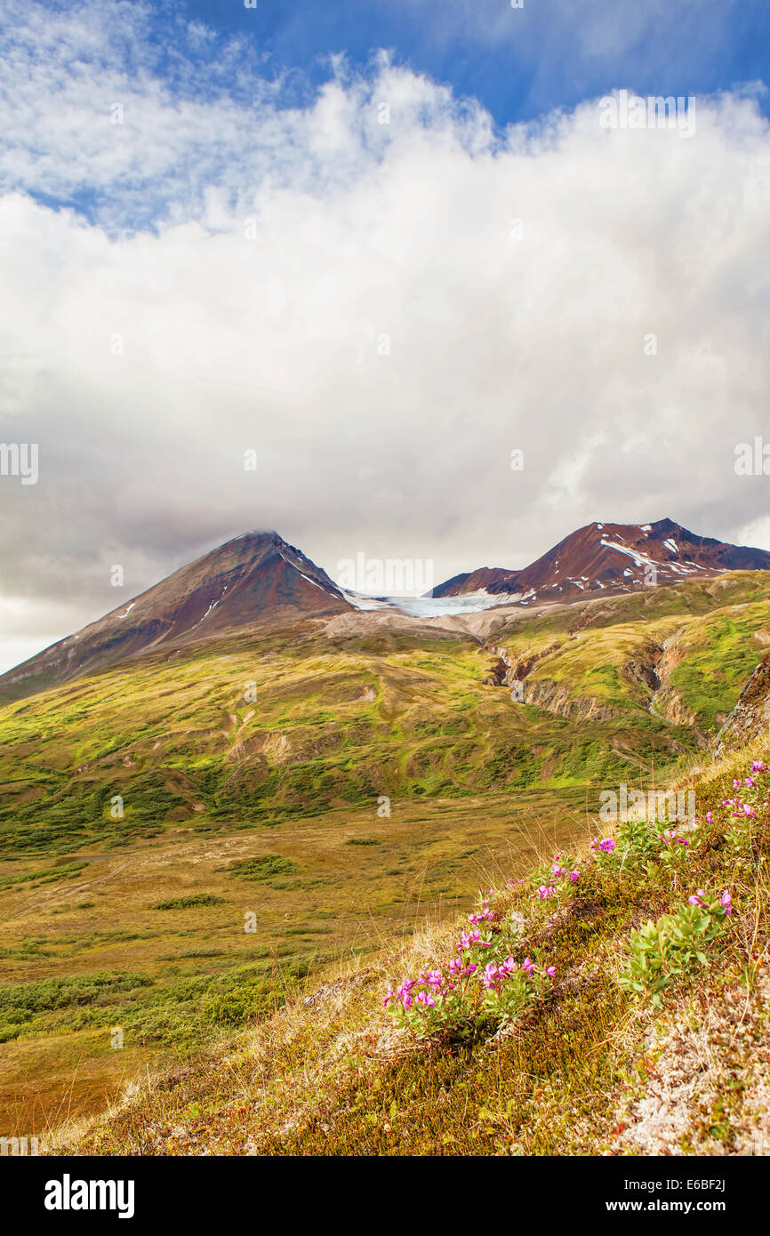 Alta elevazione tundra alpina nel territorio dello Yukon in Canada in estate con puffy nuvole. Foto Stock