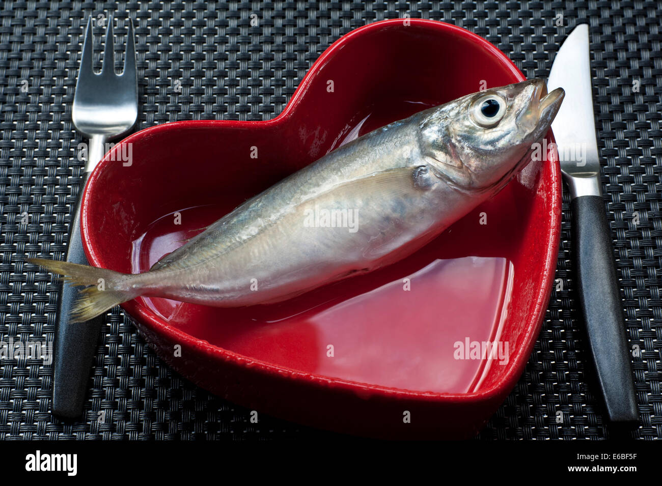 Pesce fresco Tilapia concetto mangiare sano con cuore rosso piatto sagomato con coltello e forchetta su nero Tavolo moderno Foto Stock
