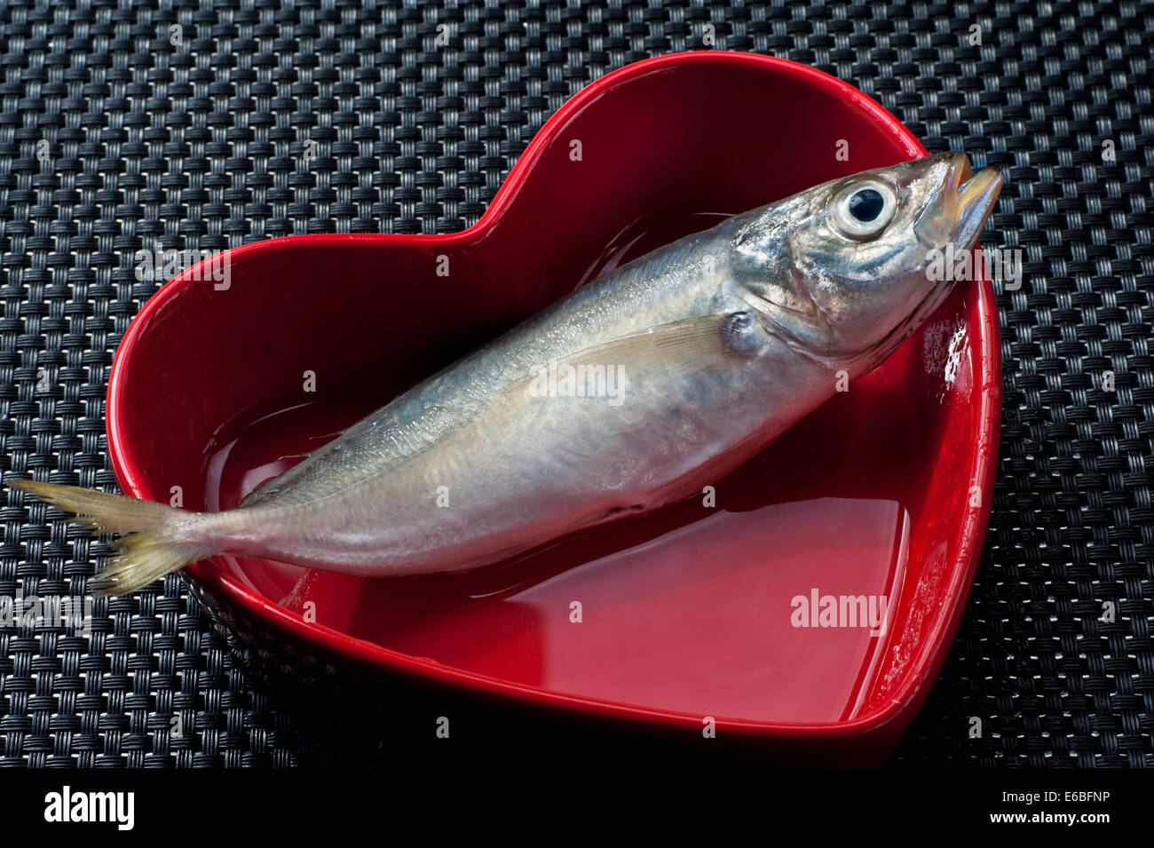 FISH HEART HEALTH concept mangiare sano con pesce fresco Chin Chin (una specie di Tilapia) in piatto a forma di cuore rosso su tavolo nero contemporaneo Foto Stock