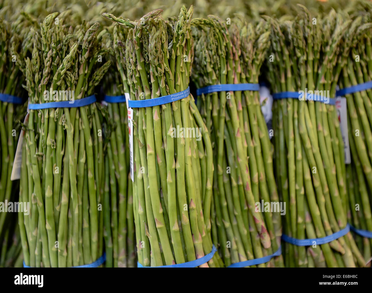 Fasci di asparagi organico in un mercato degli agricoltori. Foto Stock