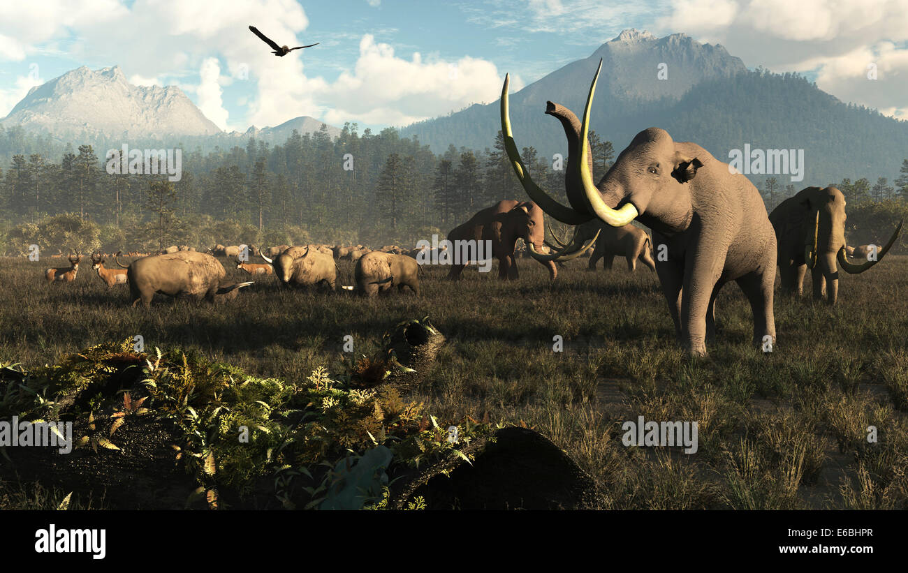 Un visto nel midwest del nord America fino a 110.000 anni fa. Columbian mammut, long horn bison e primi antenati del moderno Foto Stock