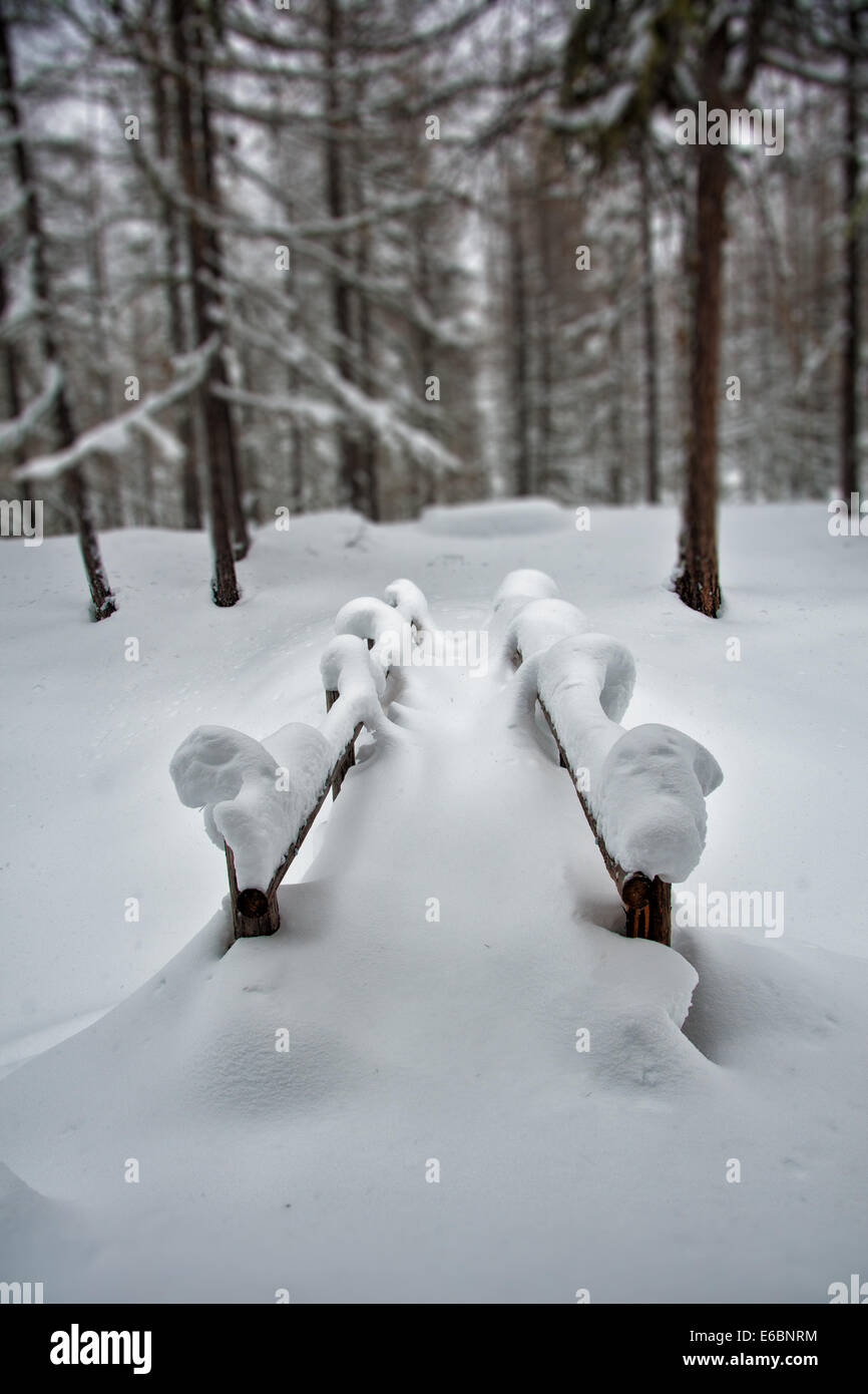 Neve ponte coperto da nessuna parte. Piccolo ponte nella foresta dopo la pesante caduta di neve nelle Alpi Svizzere Foto Stock