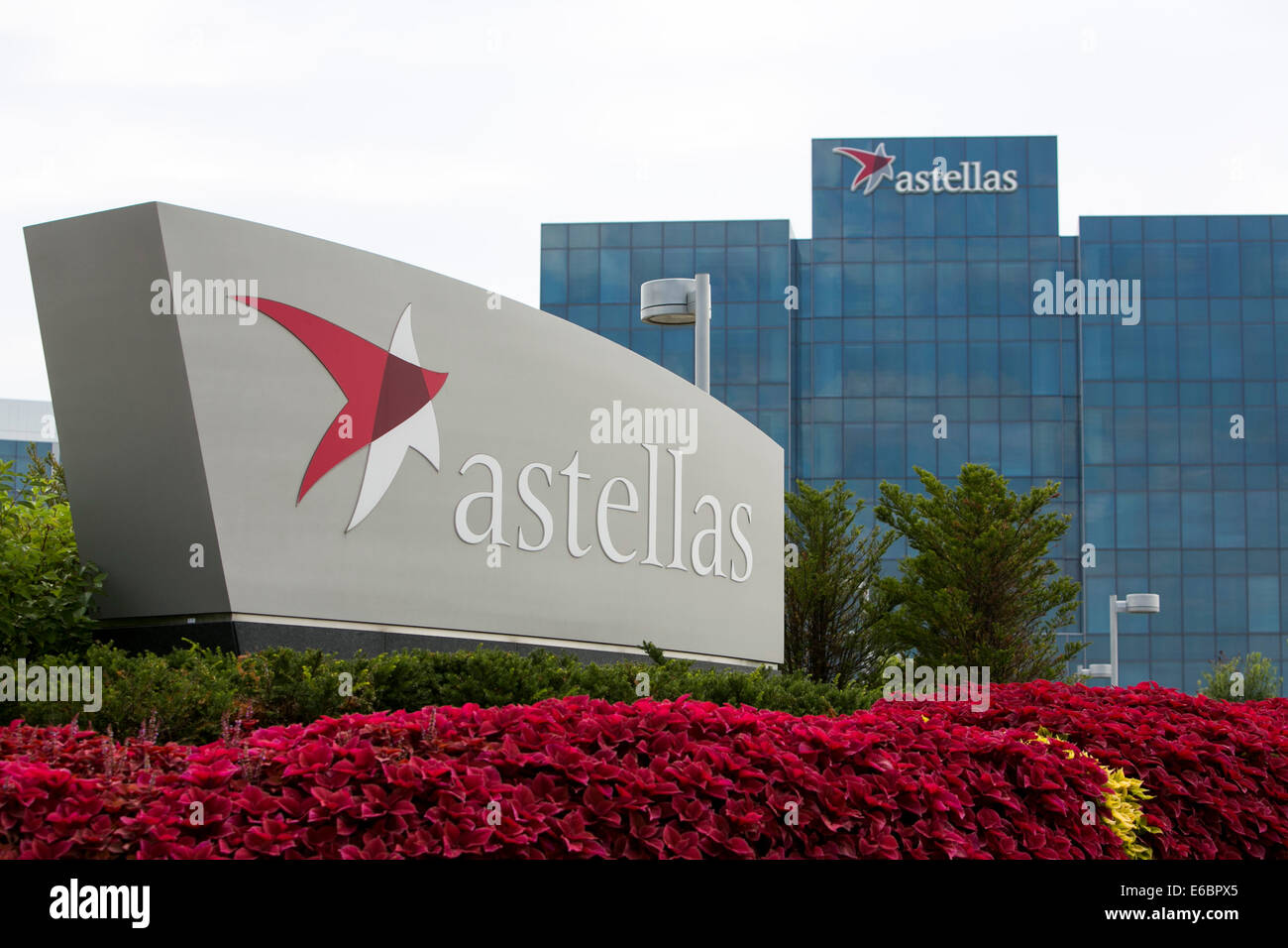 La sede centrale di Astellas Pharma noi, Inc. di Northbrook, Illinois. Foto Stock