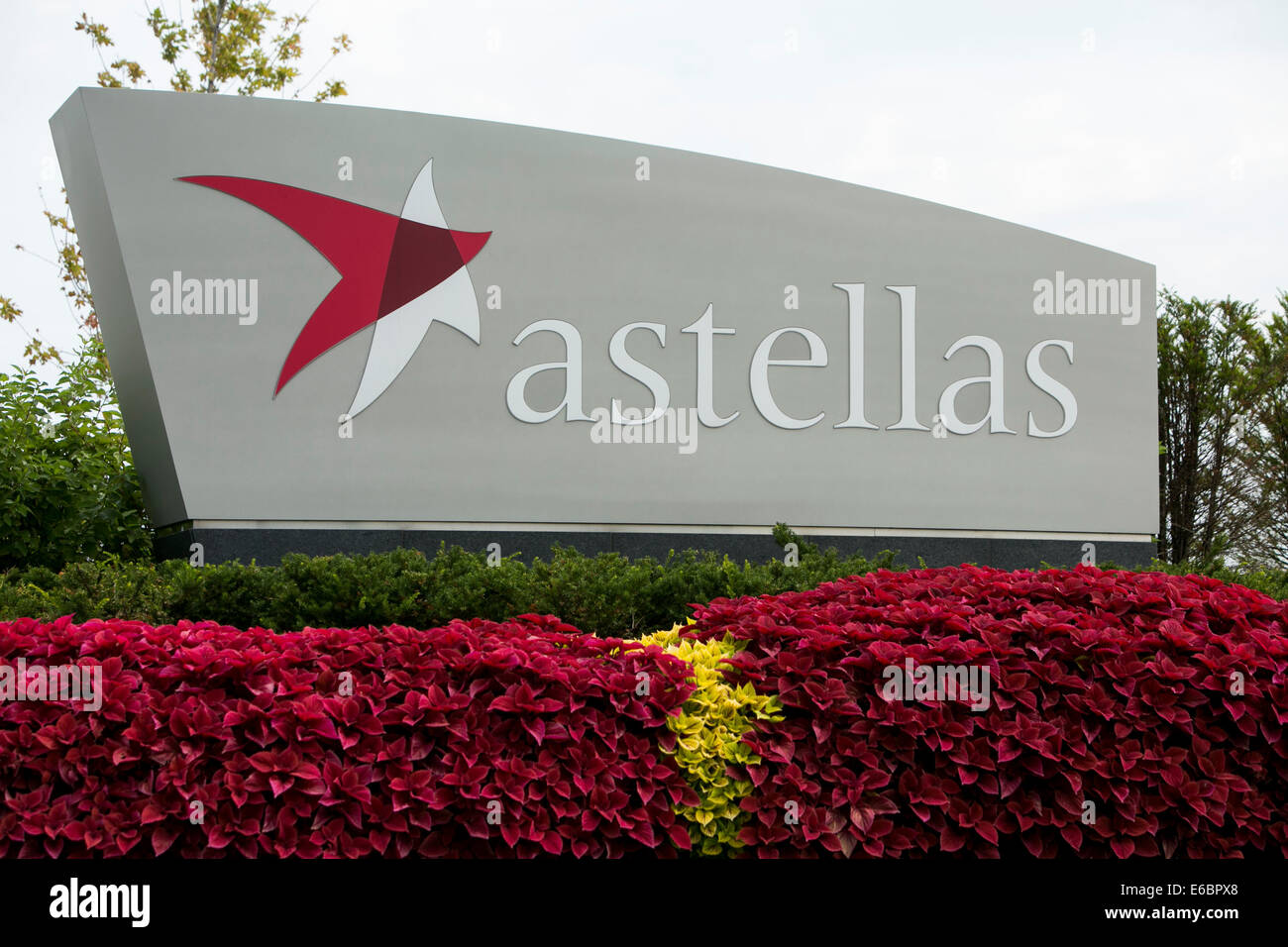 La sede centrale di Astellas Pharma noi, Inc. di Northbrook, Illinois. Foto Stock