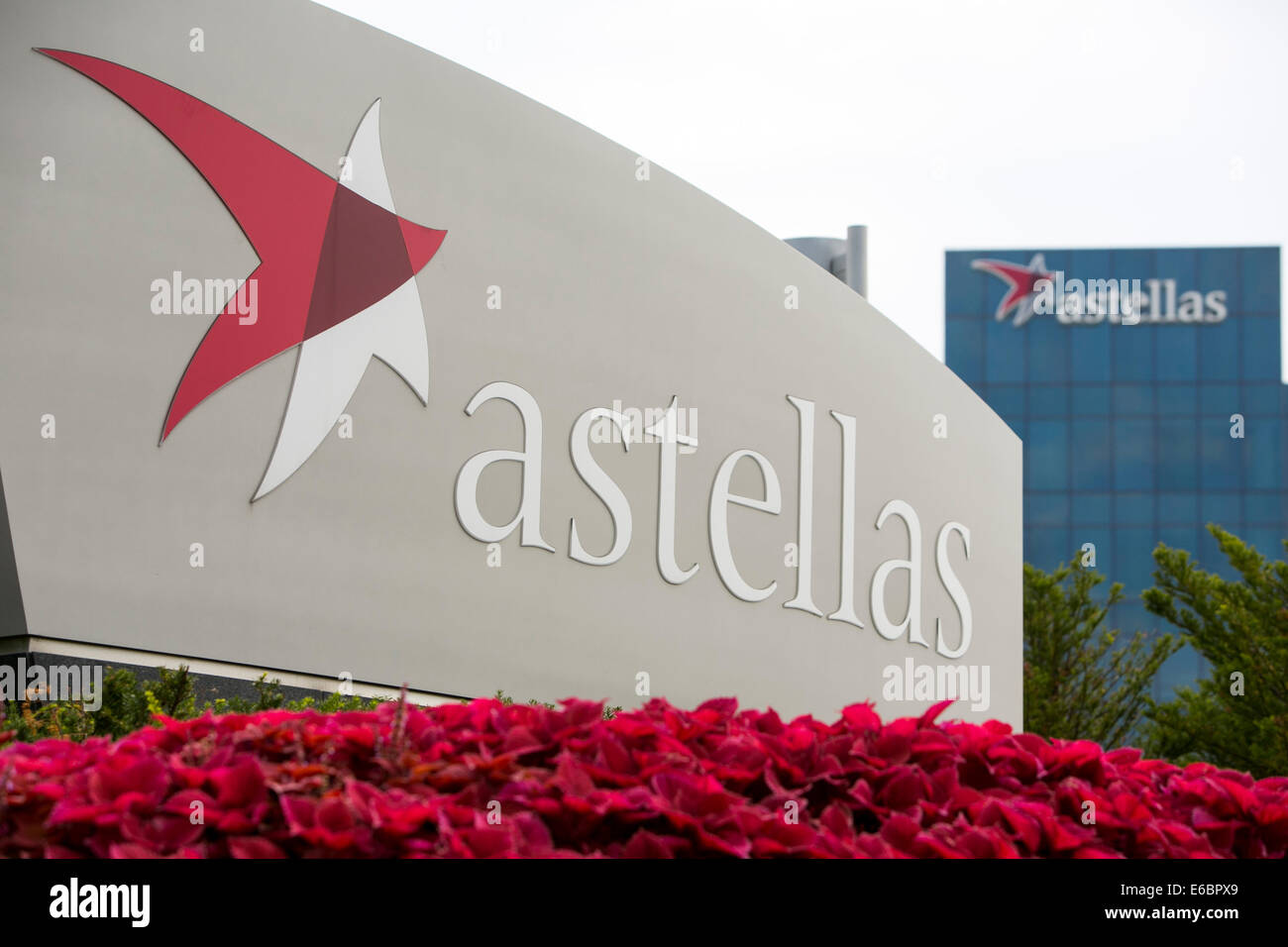 La sede centrale di Astellas Pharma noi, Inc. di Northbrook, Illinois. Foto Stock