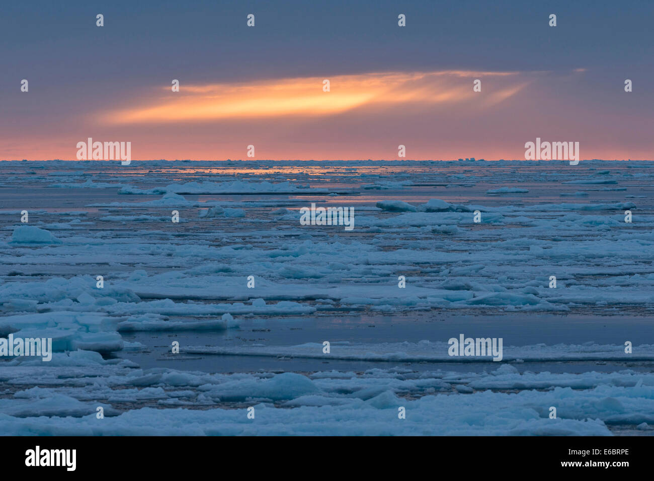 Ice floes, bordo della banchisa, Oceano Artico, Spitsbergen, isole Svalbard Isole Svalbard e Jan Mayen, Norvegia Foto Stock