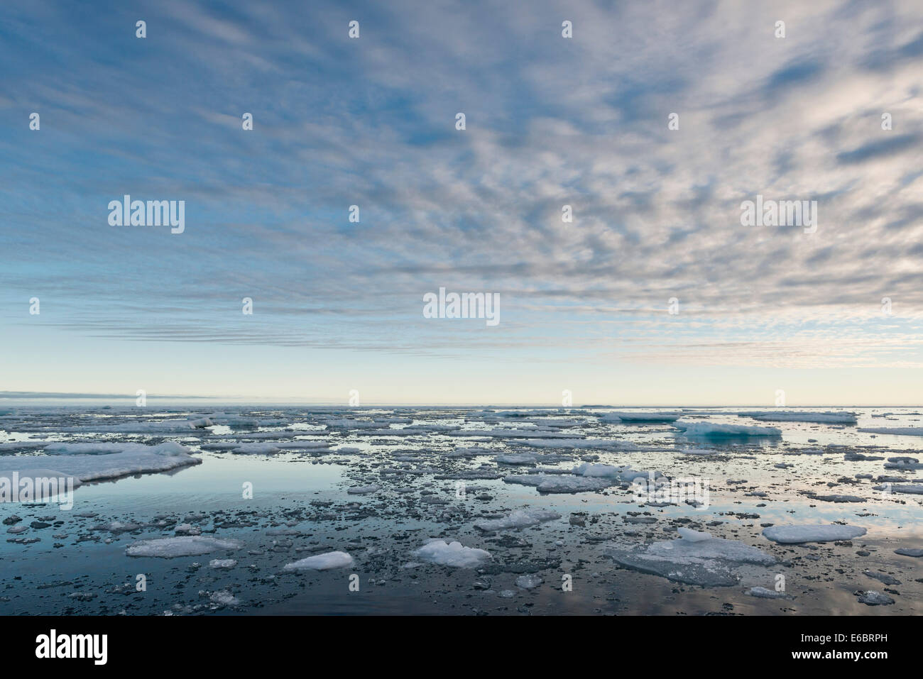 Ice floes, bordo della banchisa, Oceano Artico, Spitsbergen, isole Svalbard Isole Svalbard e Jan Mayen, Norvegia Foto Stock