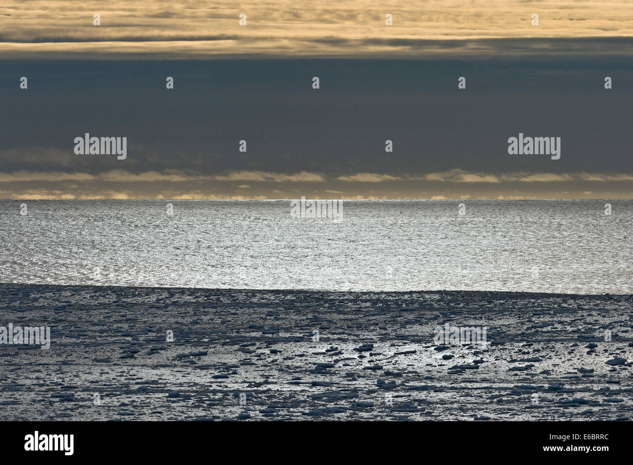 Ice floes, bordo della banchisa, Oceano Artico, Spitsbergen, isole Svalbard Isole Svalbard e Jan Mayen, Norvegia Foto Stock