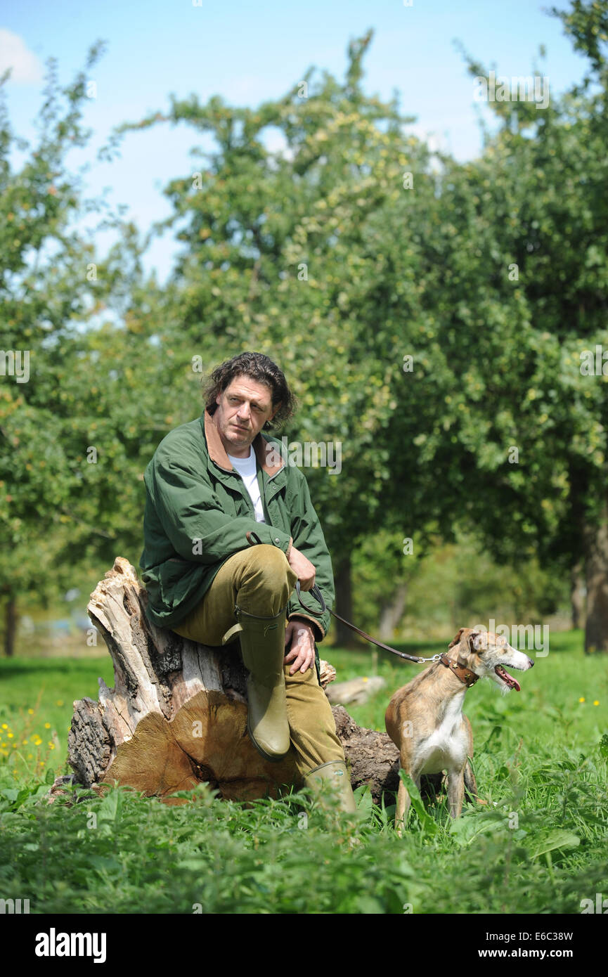 Marco Pierre White raffigurato all Westons sidro a Much Marcle, Herefordshire con il suo cane. Foto Stock