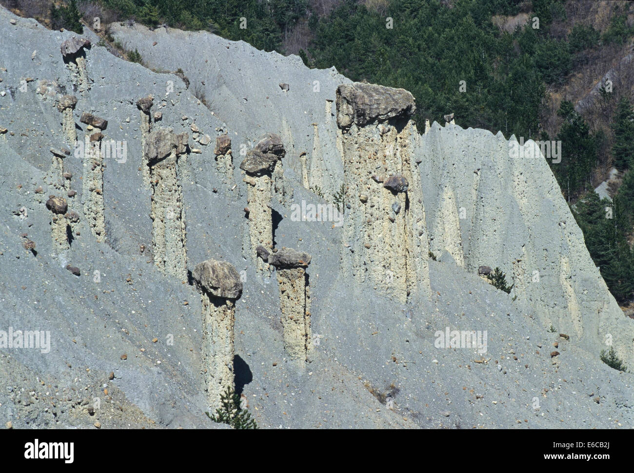 Demoiselles coiffees - Camini di Fata formazioni rocciose, Alpes-de-Haute-Provence, Francia Foto Stock