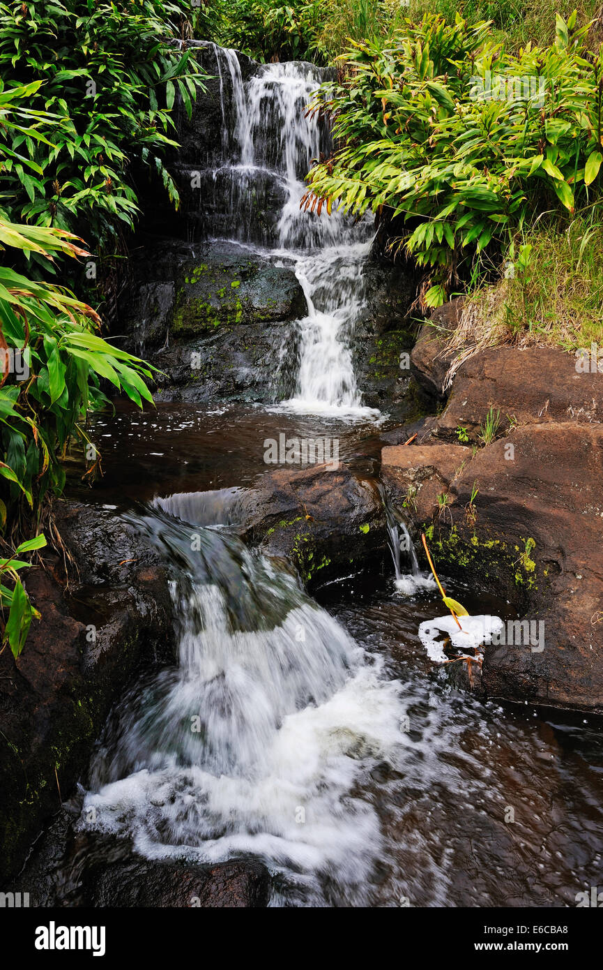La cascata e flusso, il Canyon di Waimea, Isola di Kauai, isole Hawaii, STATI UNITI D'AMERICA Foto Stock