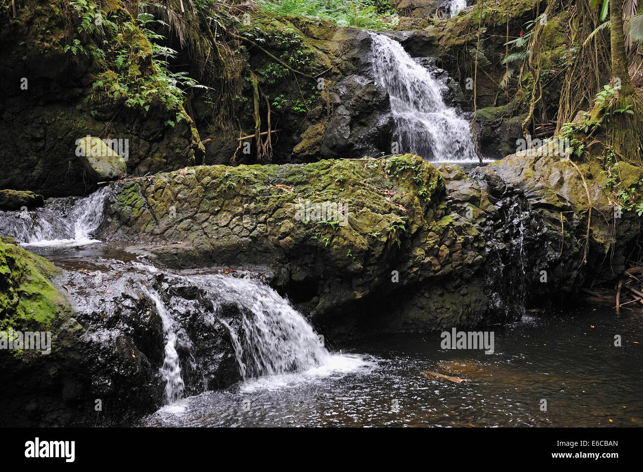Cascate in una foresta, Big Island, isole Hawaii, STATI UNITI D'AMERICA Foto Stock