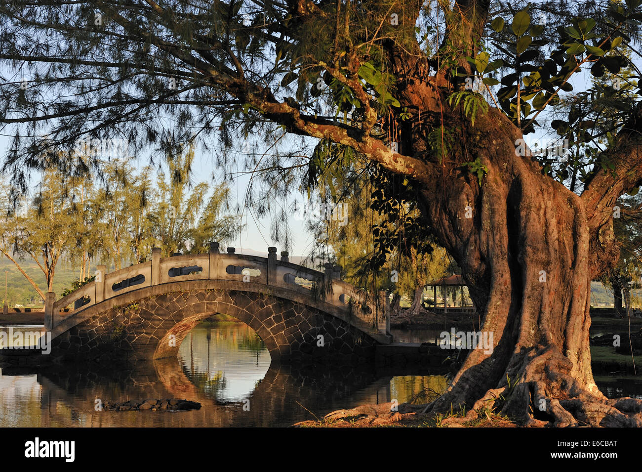 Giardino giapponese, Hilo, Big Island, isole Hawaii, STATI UNITI D'AMERICA Foto Stock