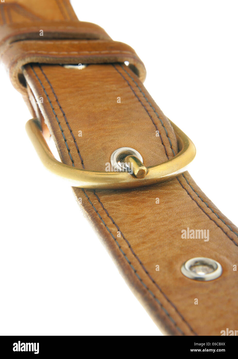 Cinturino in pelle di close-up isolate su sfondo bianco Foto Stock