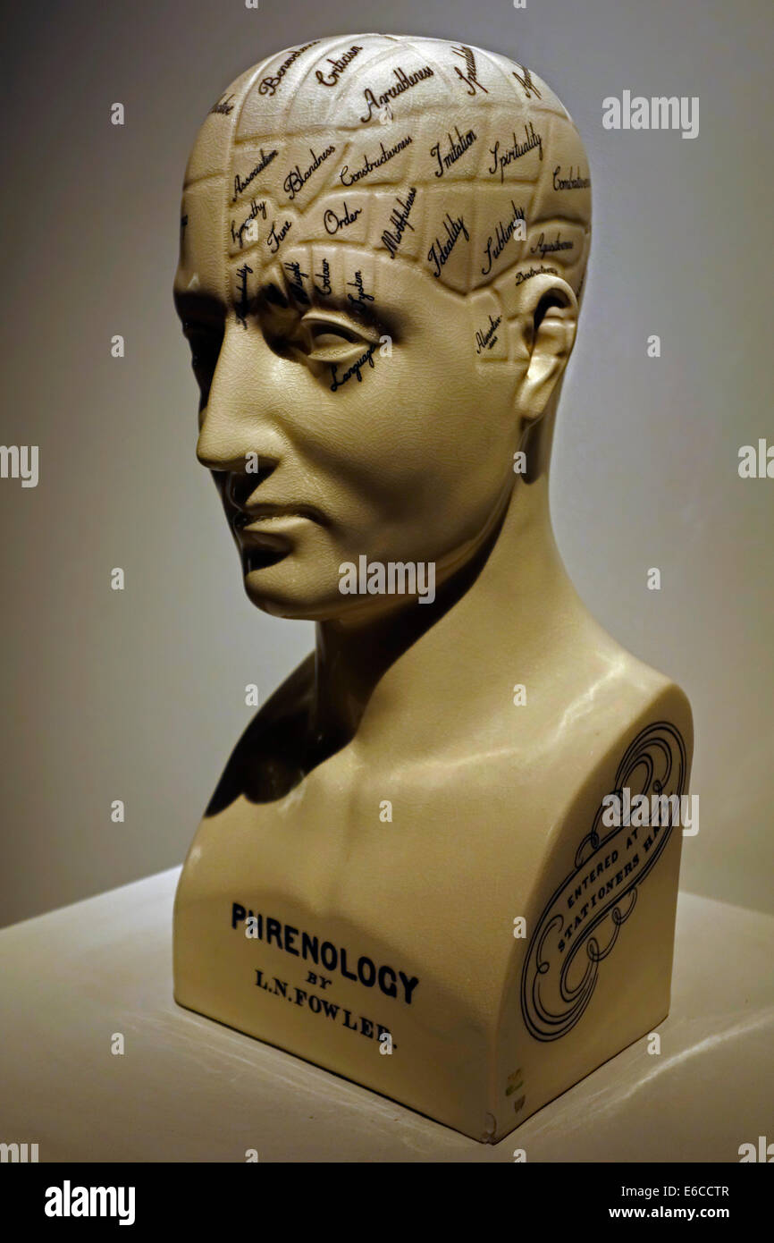 Il Phrenology busto dalla L.N. Fowler, pseudoscience del XIX secolo Foto Stock