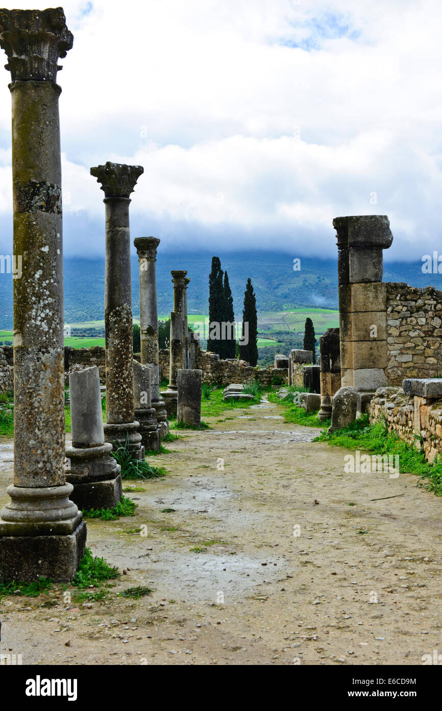 Volubilis,scavate città romana in Marocco,valle fertile,olive,l'agricoltura,Paolo Street Travel & fotografo di paesaggio,Marocco Foto Stock