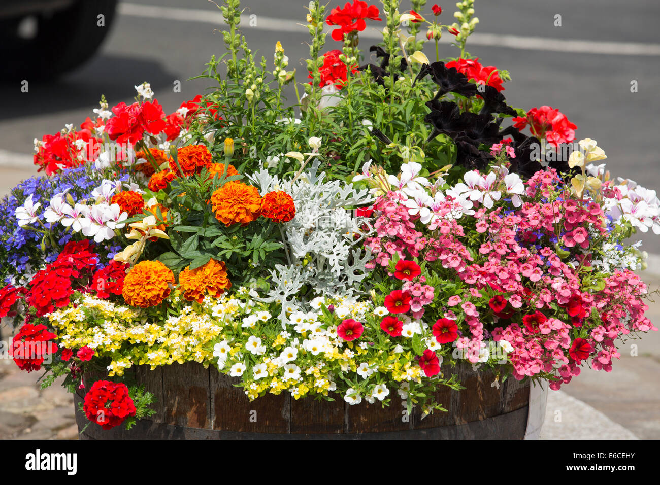 Un display di fiori in Corbridge, Northumberland, Regno Unito. Foto Stock