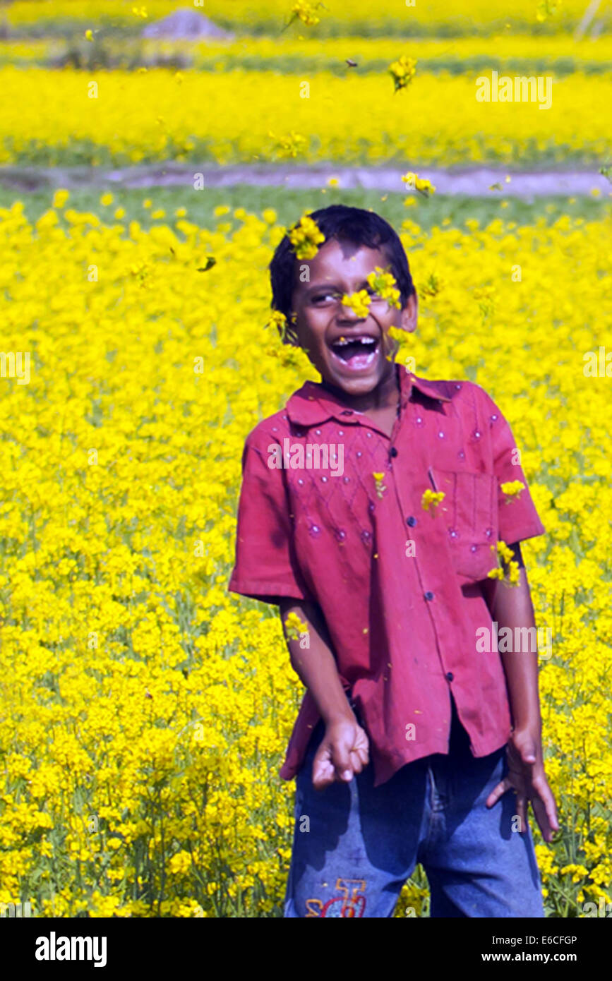 Nov. 22, 2011 - Bangladesh - campo di senape in Bangladesh.la senape è un tempo fresco e raccolto è cresciuto da semi seminati in primavera. Da metà dicembre fino alla fine di gennaio, Bangladesh gli agricoltori coltivano i loro raccolti di vivacemente colorato di giallo senape fiori che sono in piena fioritura. (Credito Immagine: © Zakir Hossain Chowdhury/ZUMA filo) Foto Stock