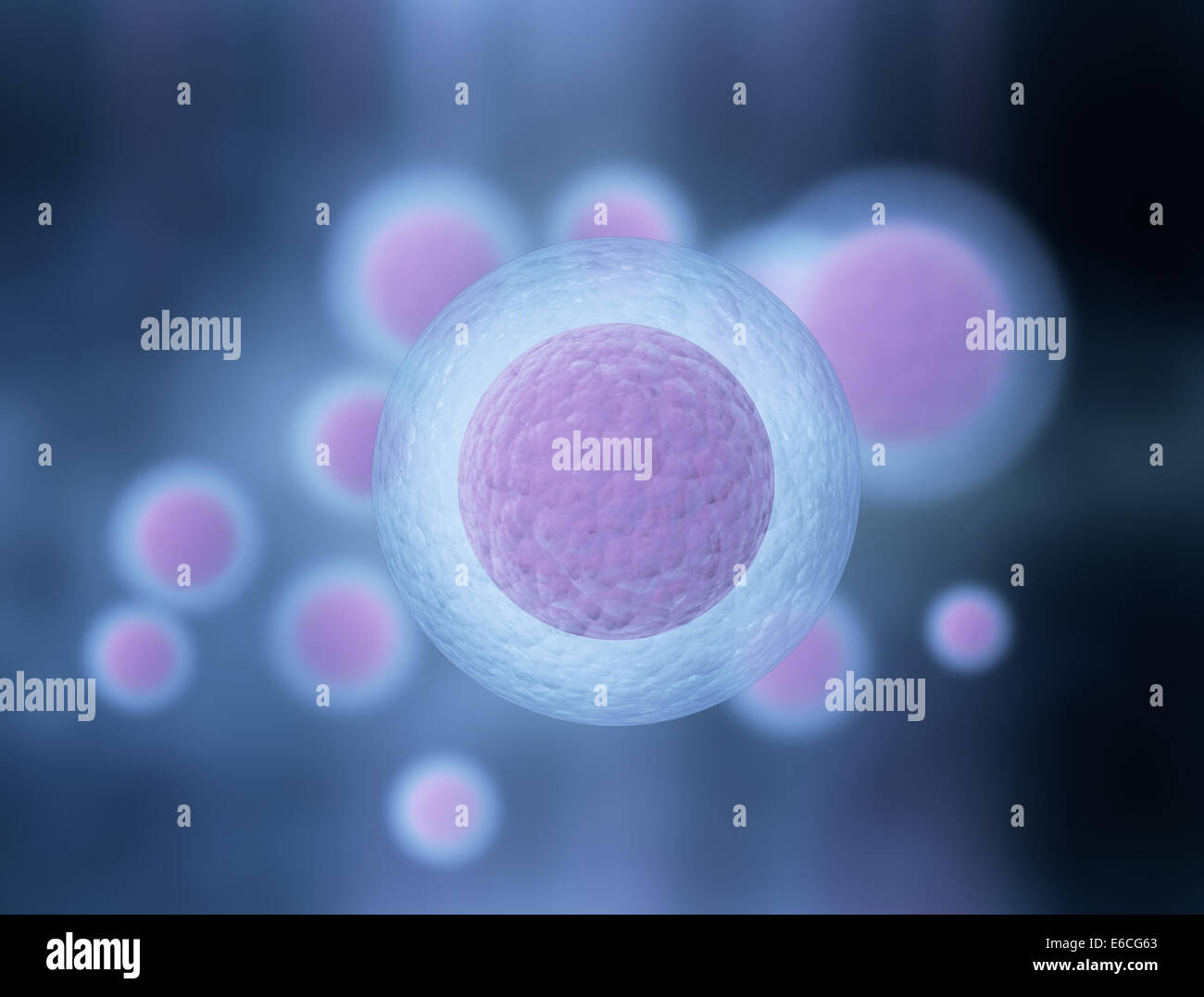 3d reso illustrazione di cellule umane Foto Stock