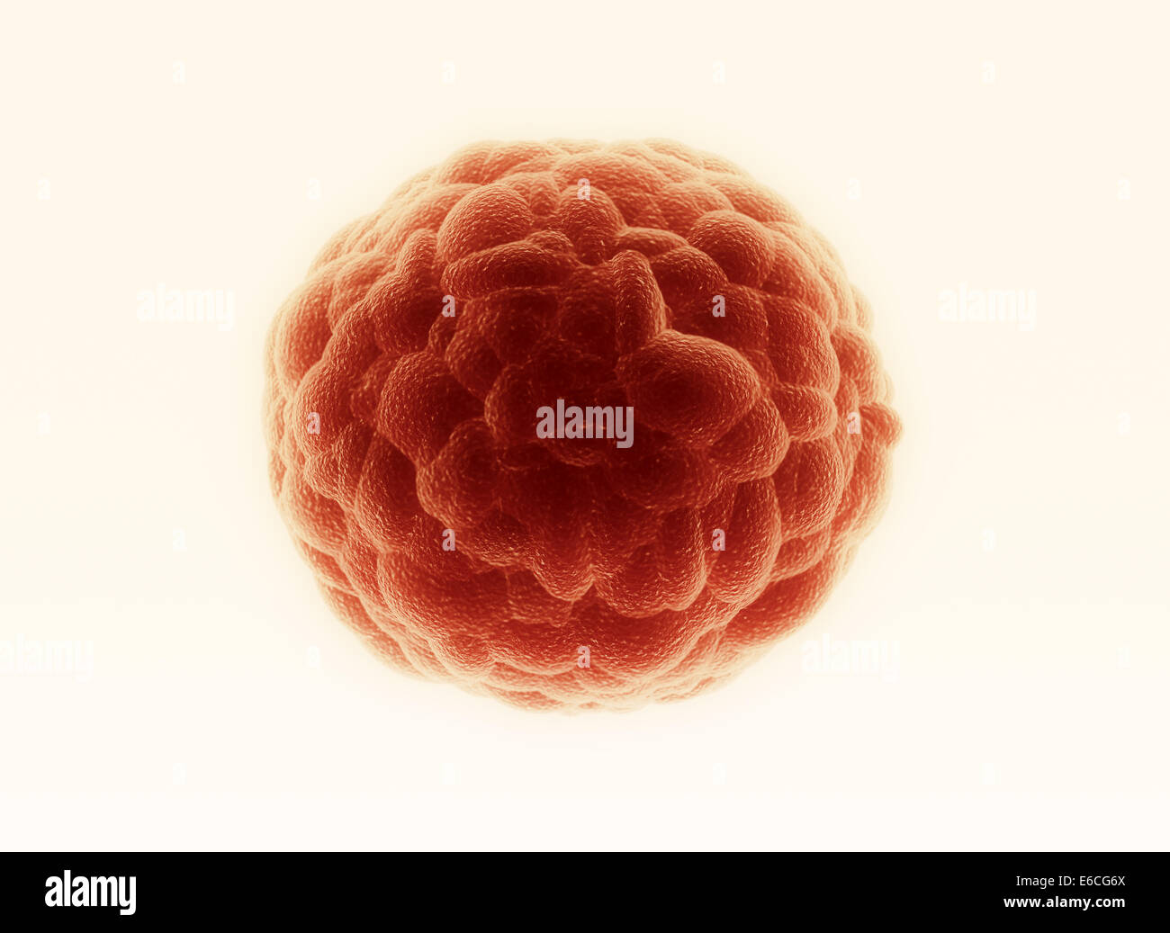 La cellula di cancro rosso cluster astratto Foto Stock