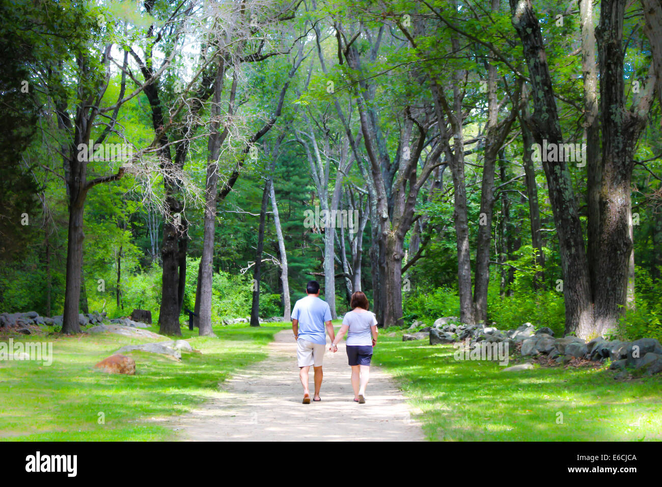 Coppia romantica a piedi attraverso un bel bosco Foto Stock