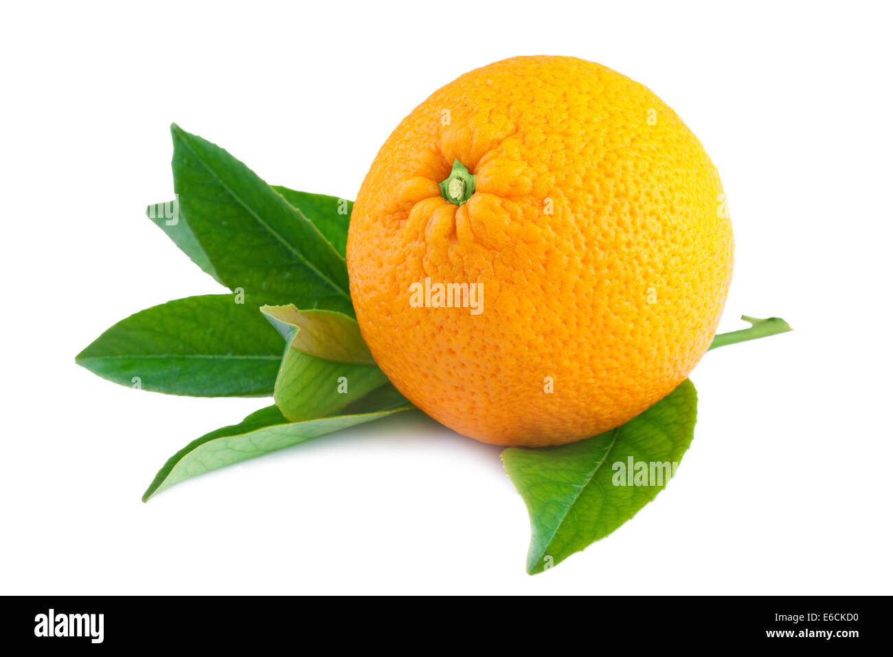 Frutta di arancia isolato su bianco Foto Stock