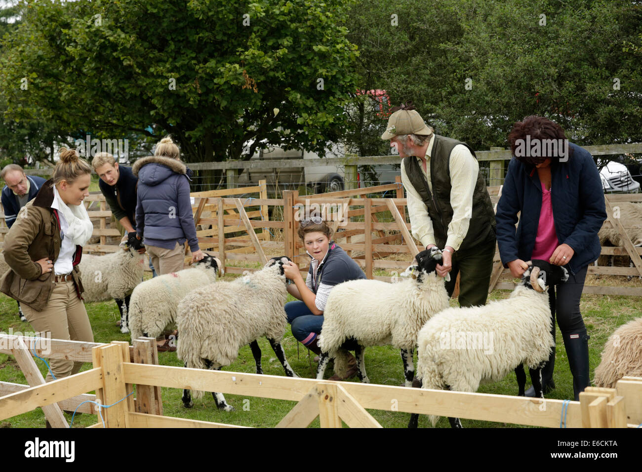 Rosedale Show 2014 del North York Moors Inghilterra Foto Stock