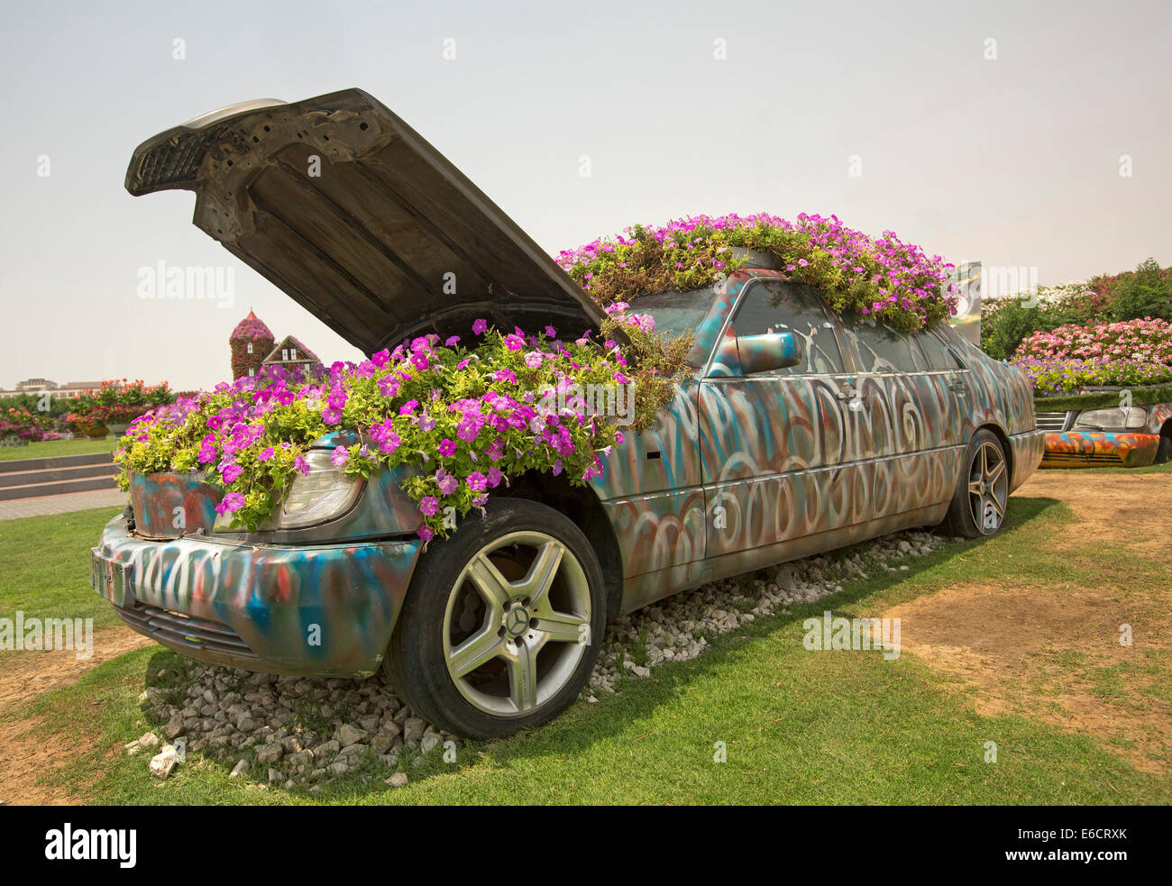 Insolita caratteristica giardino creato con auto decorate, masse di fiori fuoriuscita da aprire il cofano e tetto di copertura a Dubai miracolo Gardens Foto Stock