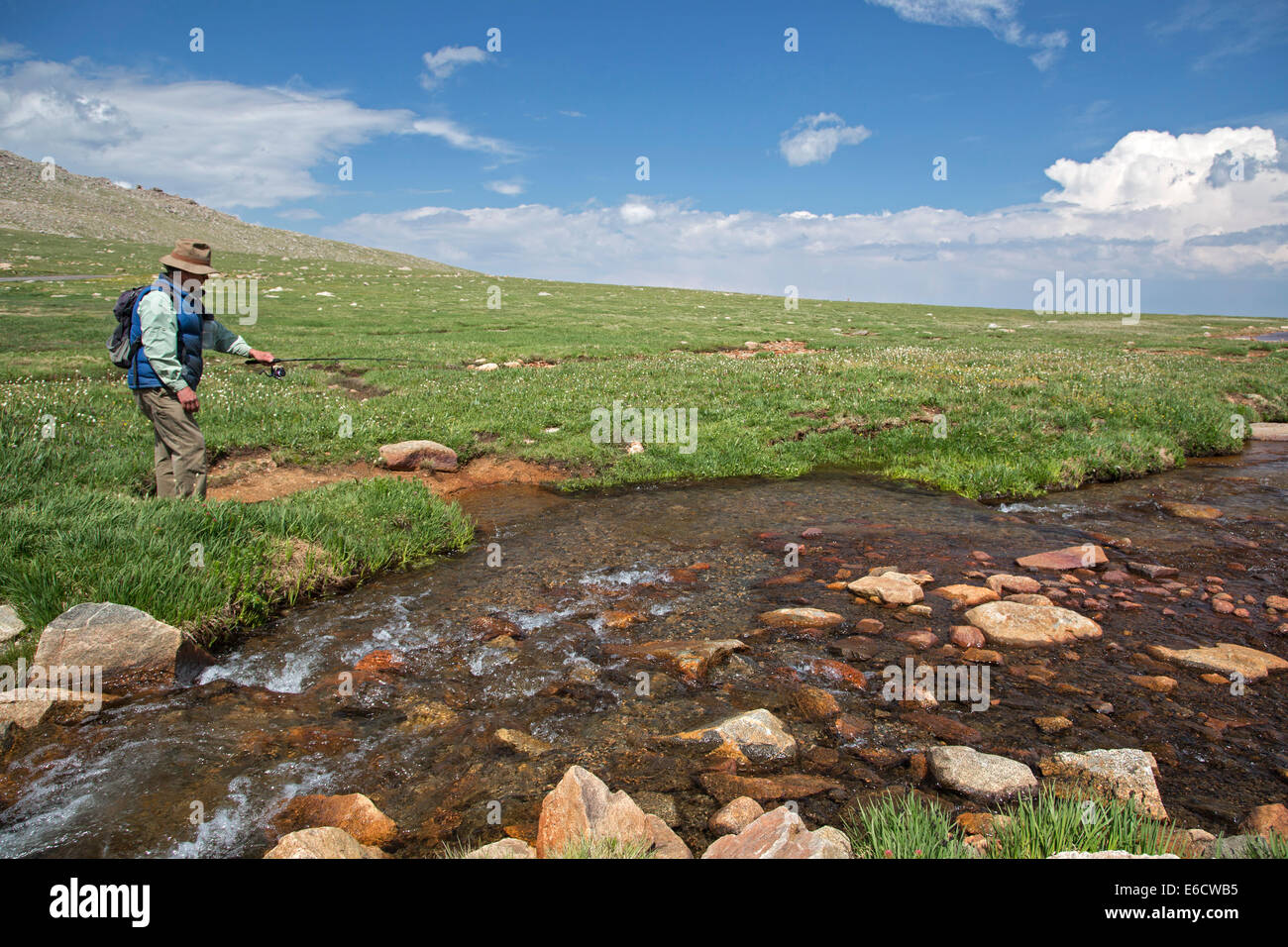Idaho Springs, Colorado - un uomo pesci in Bear Creek sotto la cima del Mt. Evans. Mt Evans è uno dei più accessibili ad alta Foto Stock