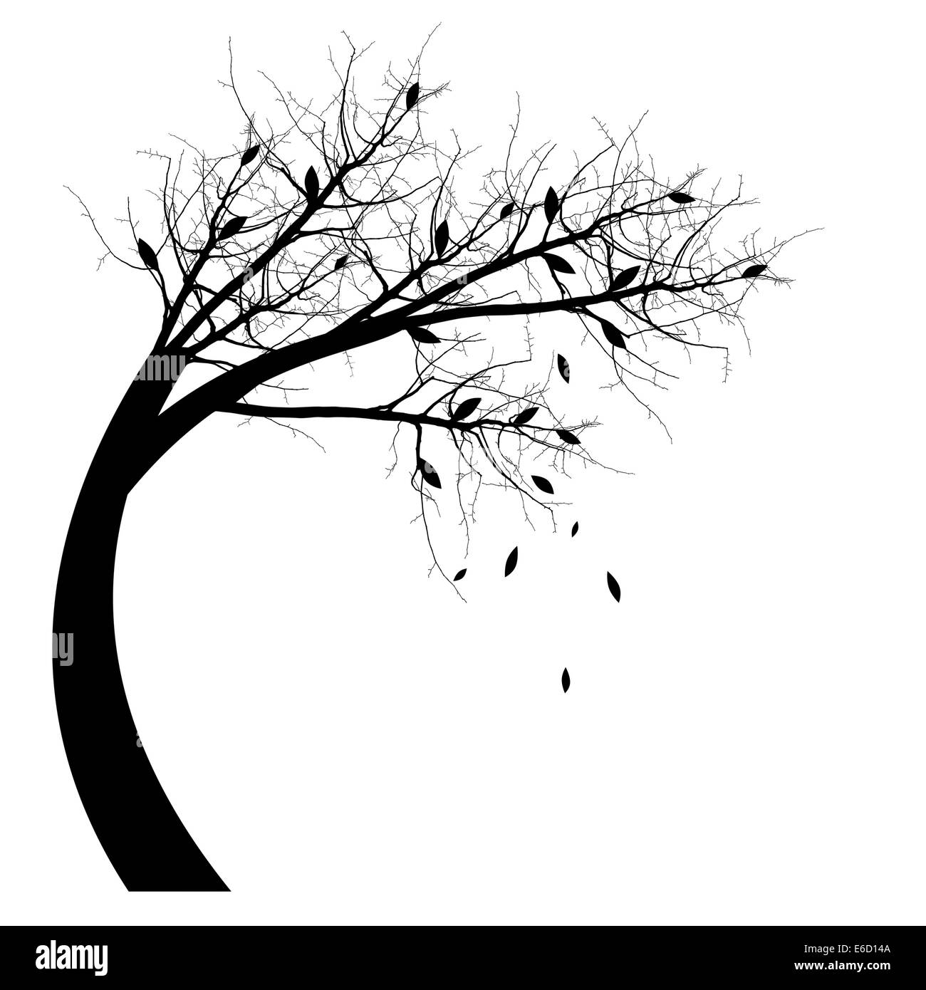 Autumn Tree silhouette isolato su bianco Foto Stock