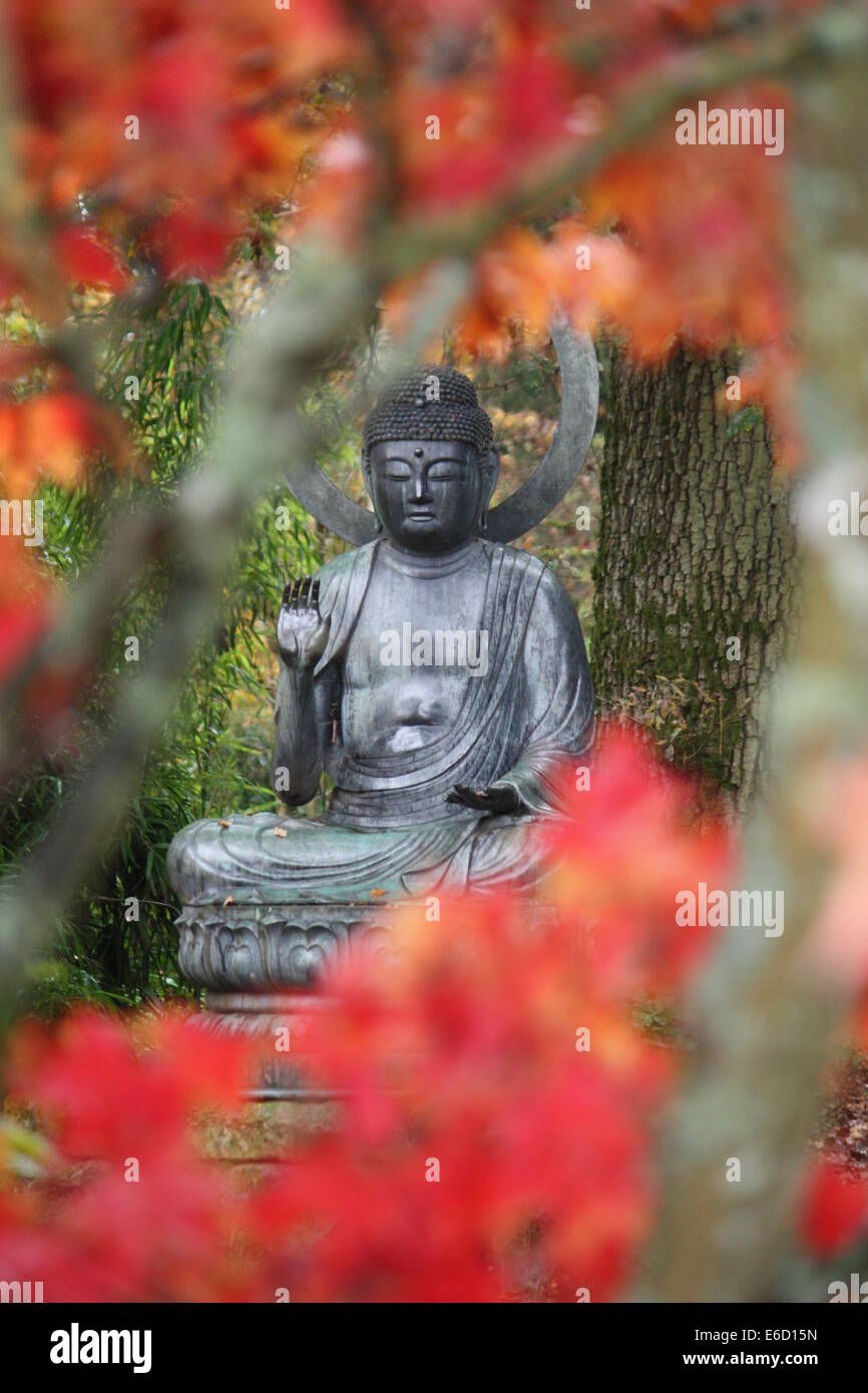 Statua di Buddha a batsford arboretum attraverso foglie rosse Foto Stock