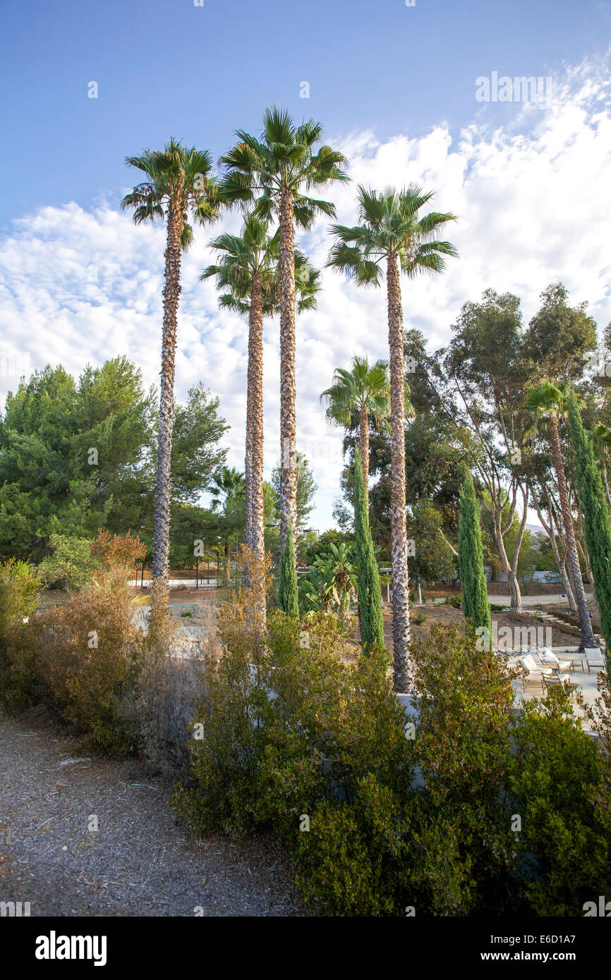 Ojai, CALIFORNIA, STATI UNITI D'AMERICA Foto Stock