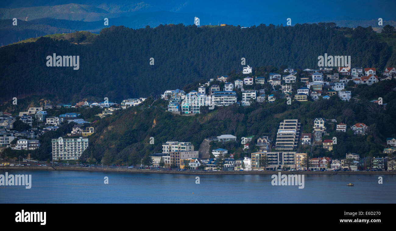 Lo skyline della città di Wellington nuova zelanda bay harbor skyline della città Foto Stock