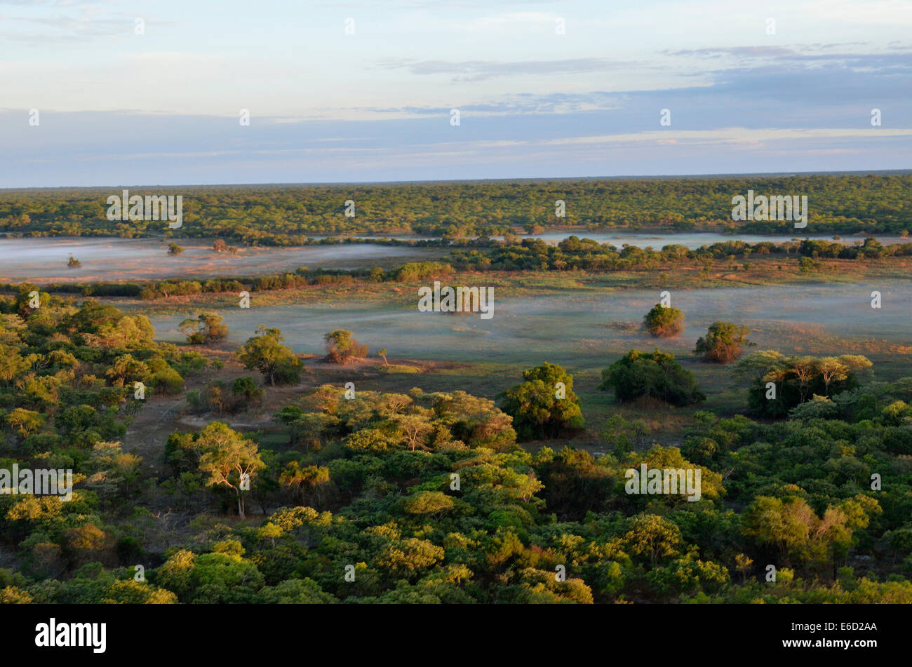 Vista aerea, la mattina presto in Kasanka National Park, Zambia Foto Stock