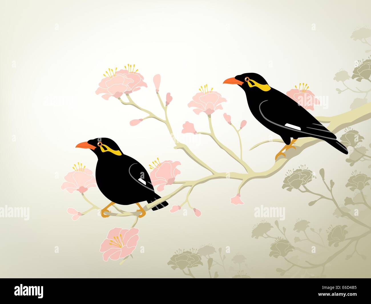 Modificabile illustrazione vettoriale di una coppia di collina minacciate di estinzione di uccelli myna Illustrazione Vettoriale