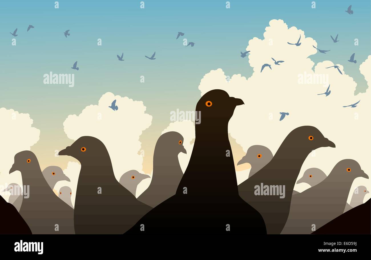 Modificabile illustrazione vettoriale di piccioni guardare altri uccelli Illustrazione Vettoriale