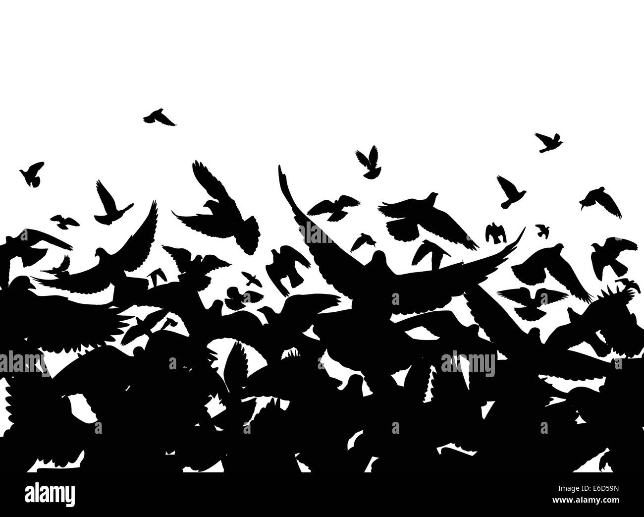 Primo piano del vettore di un gregge di piccioni con ogni uccello come un oggetto separato Illustrazione Vettoriale
