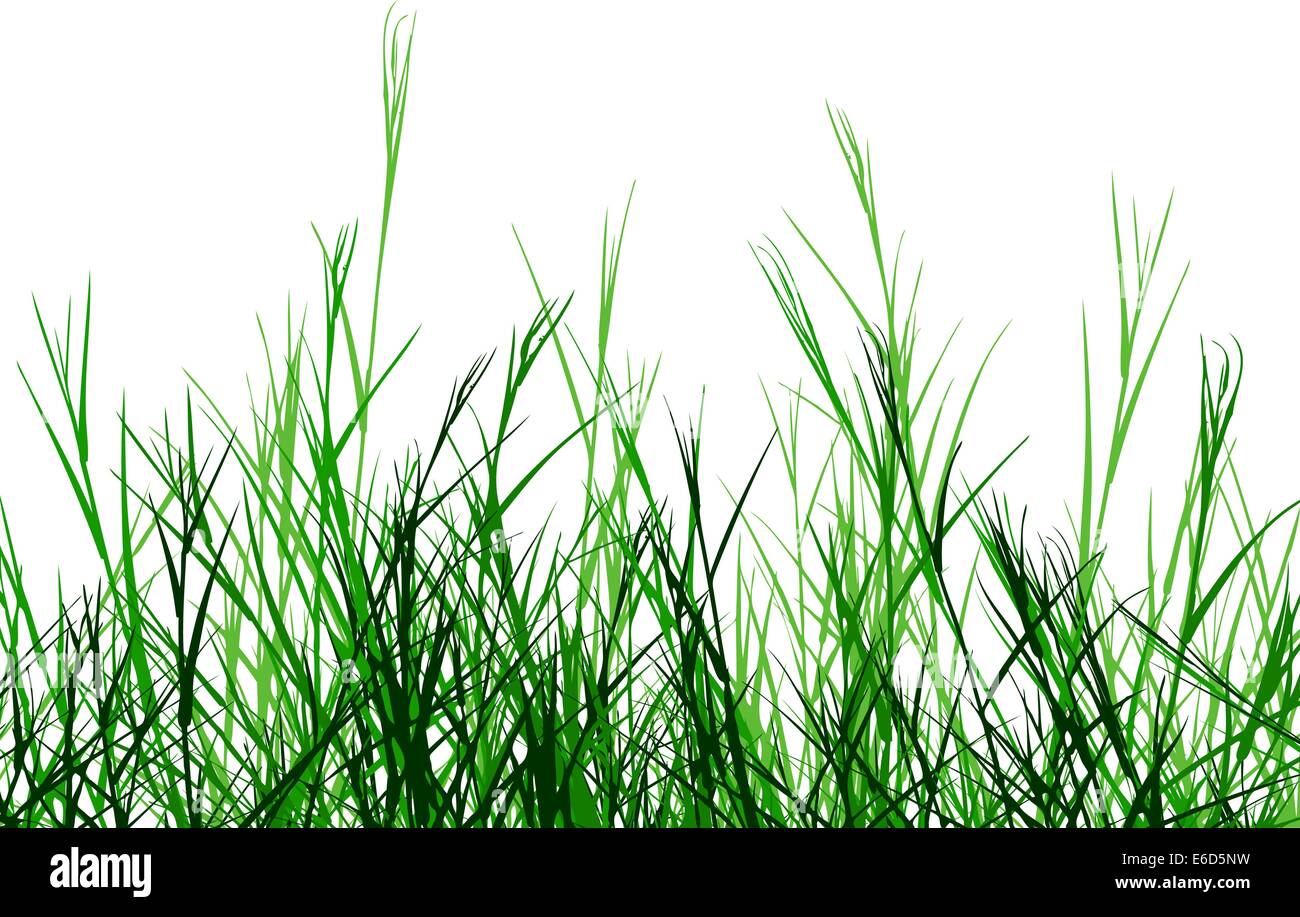 Vettoriale modificabile design di primo piano di erba ruvida Illustrazione Vettoriale