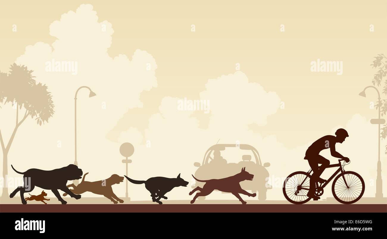 Modificabile illustrazione vettoriale di cani a caccia di un ciclista lungo una strada Illustrazione Vettoriale