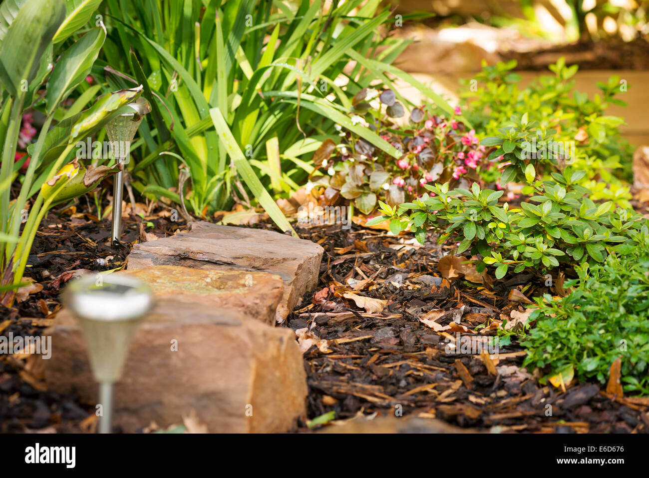 Design paesaggistico in un giardino con rocce, solari luci e piante Foto Stock