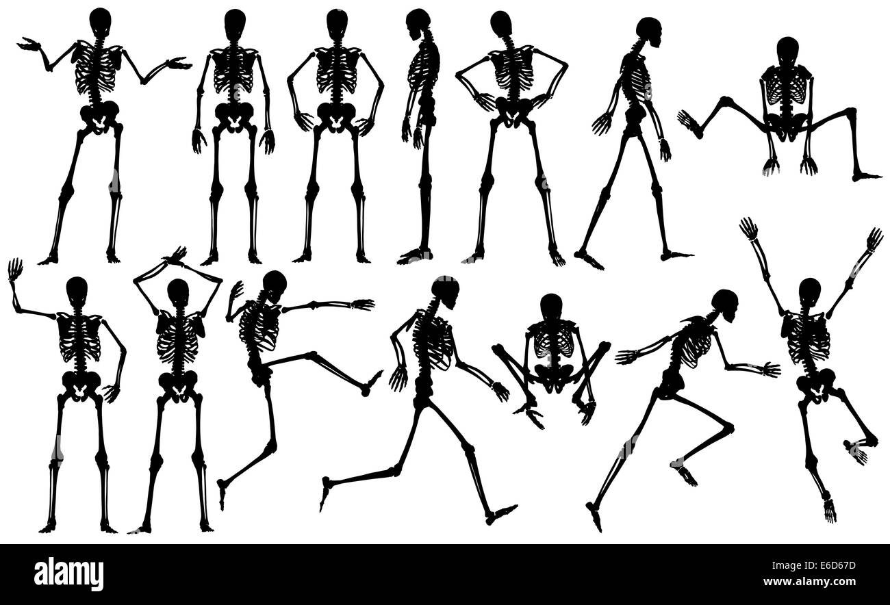Set di vettoriale modificabile scheletro maschio delinea Illustrazione Vettoriale