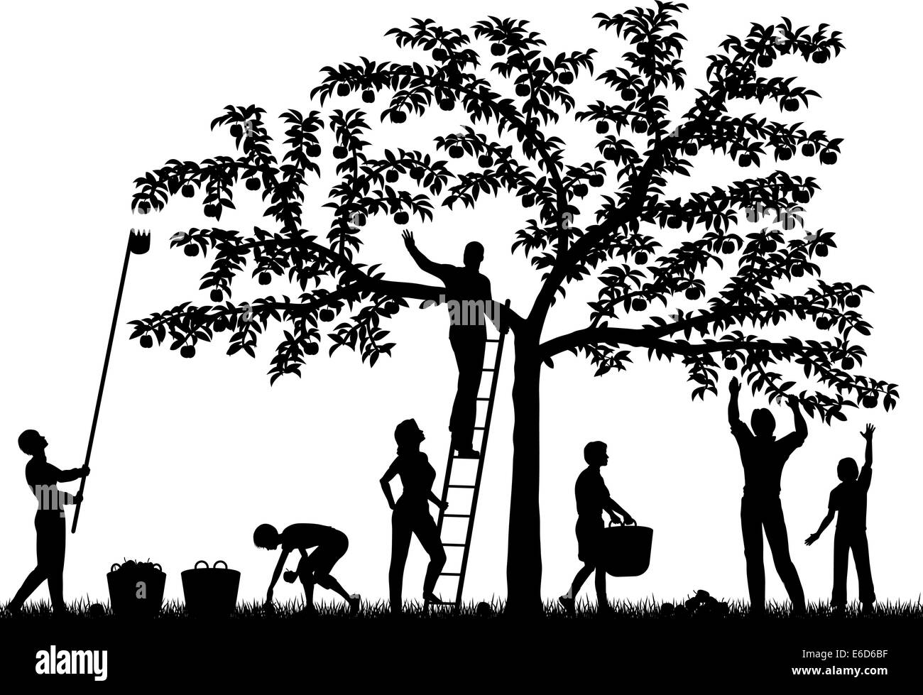 Vettore modificabile sagome di una famiglia raccolta mele da un albero con le persone e di frutta come oggetti separati Illustrazione Vettoriale