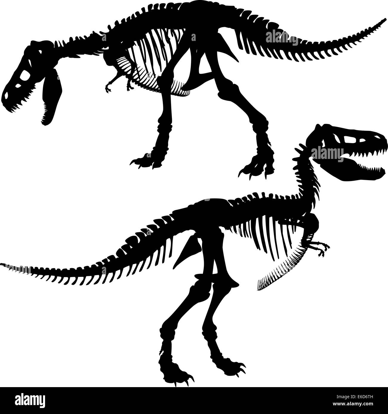 Modificabile sagome vettoriali dello scheletro di un Tirannosauro Rex dinosauro Illustrazione Vettoriale