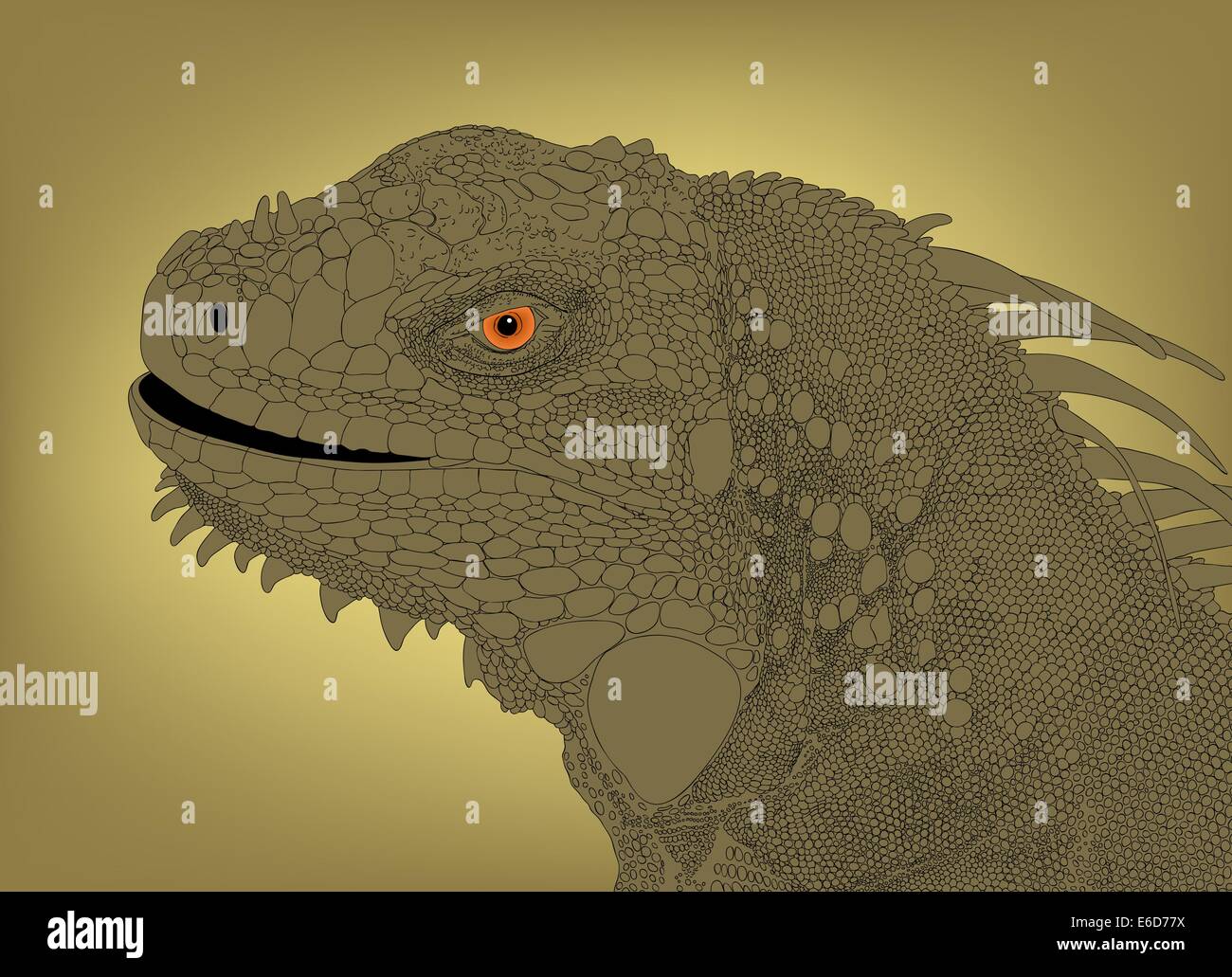 Modificabile dettagliata illustrazione vettoriale di un testa di iguana Illustrazione Vettoriale