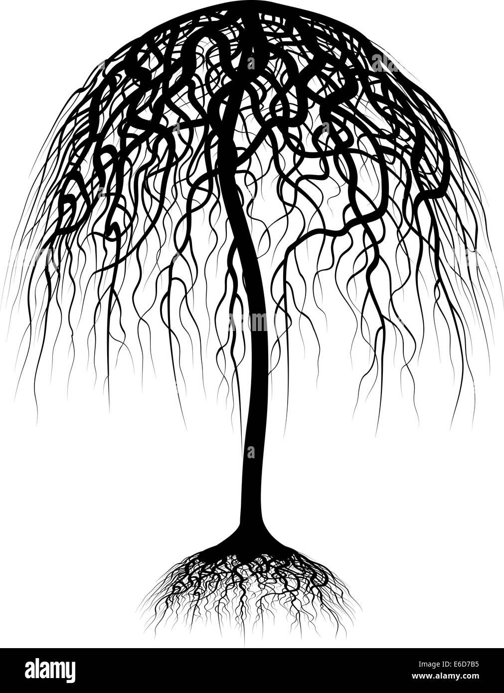 Modificabile illustrazione vettoriale di un albero e le sue radici Illustrazione Vettoriale