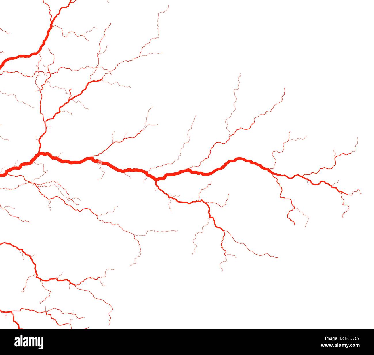 Modificabile illustrazione vettoriale di rosso i vasi sanguigni Illustrazione Vettoriale