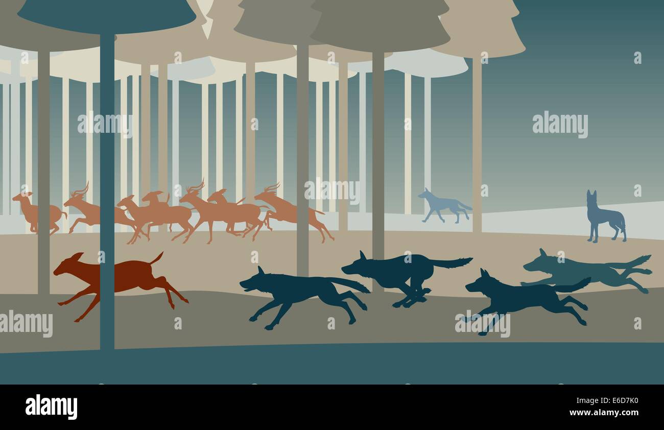 Modificabile illustrazione vettoriale di un branco di lupi a caccia di cervi in una foresta Illustrazione Vettoriale