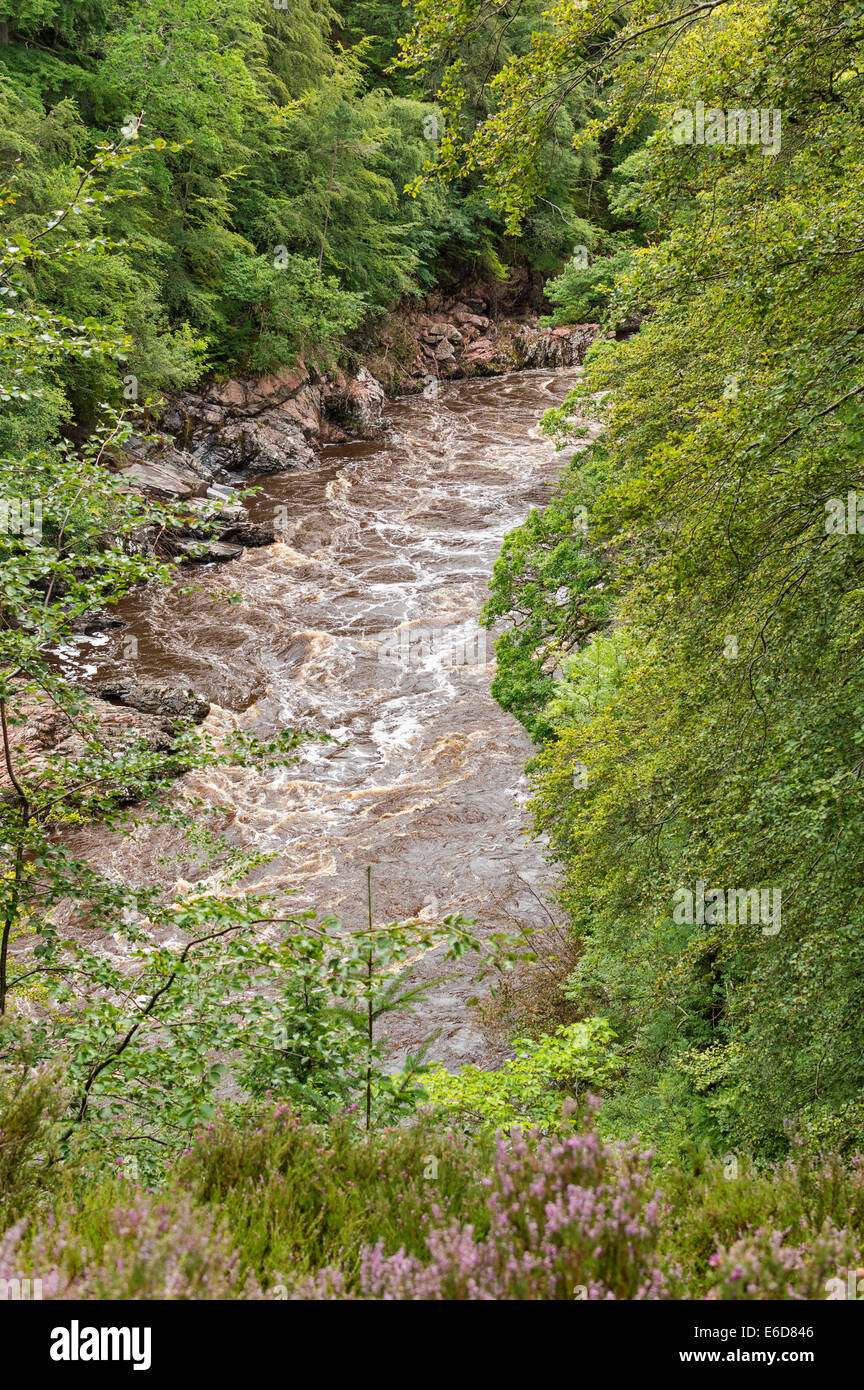 Fiume FINDHORN MORAY SCOZIA IN PIENA alluvione in agosto nei pressi di DARNAWAY Foto Stock