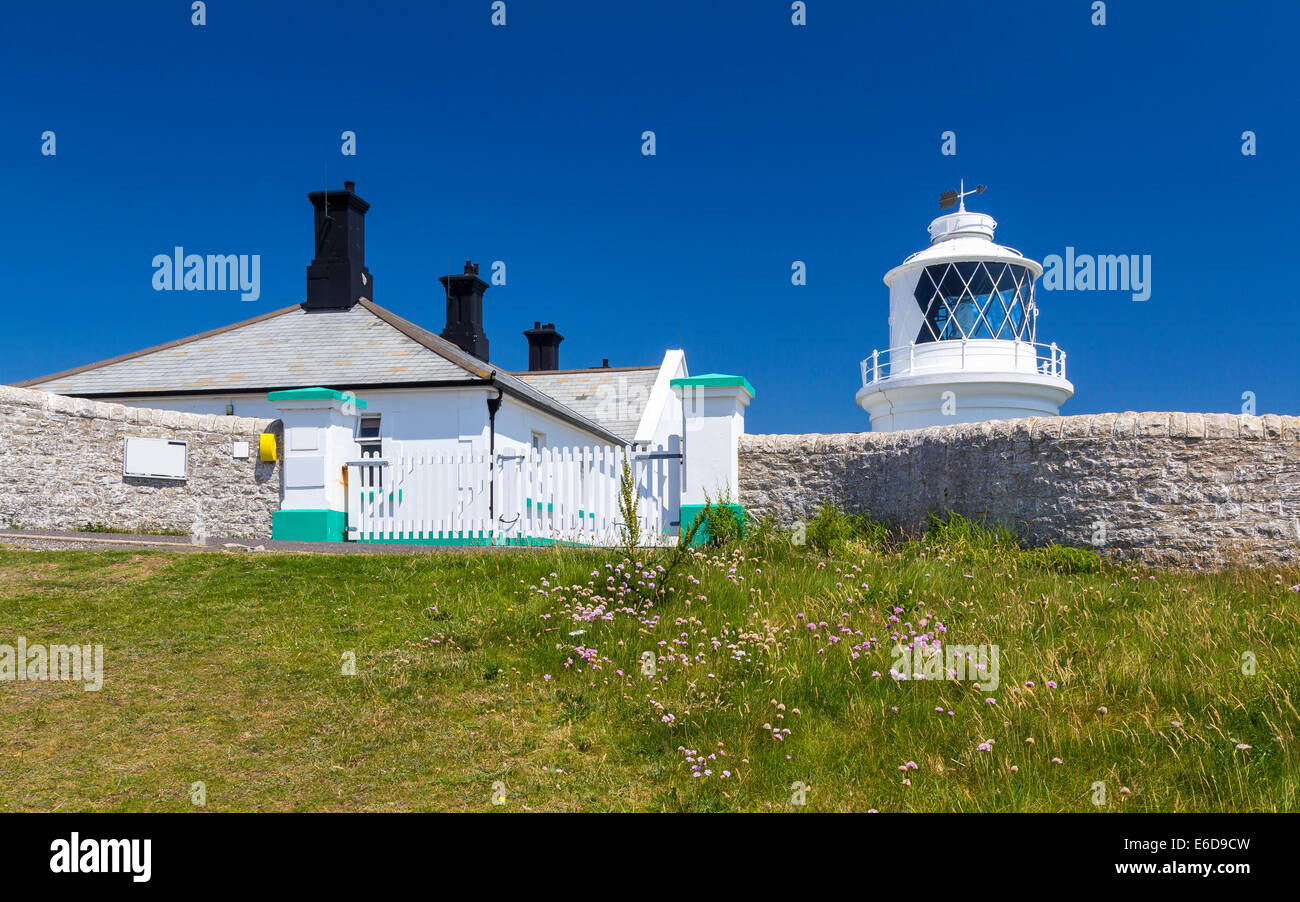 Il 1881 Incudine Point Lighthouse lungo la costa del Dorset England Regno Unito Europa Foto Stock